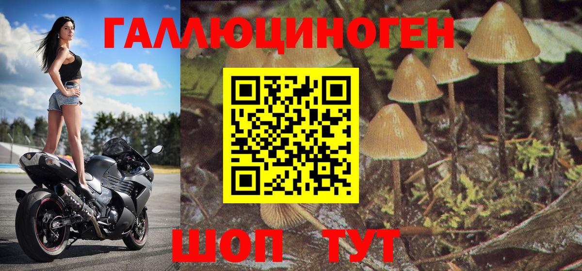 Псилоцибиновые грибы ЛСД Вятские Поляны