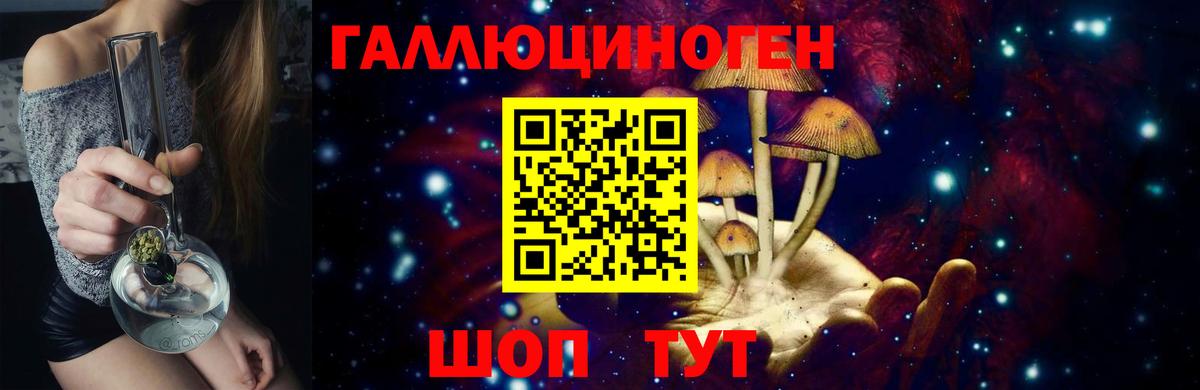 купить   Вход с VPN  Вятские Поляны  Галлюциногенные грибы MAGIC MUSHROOMS 